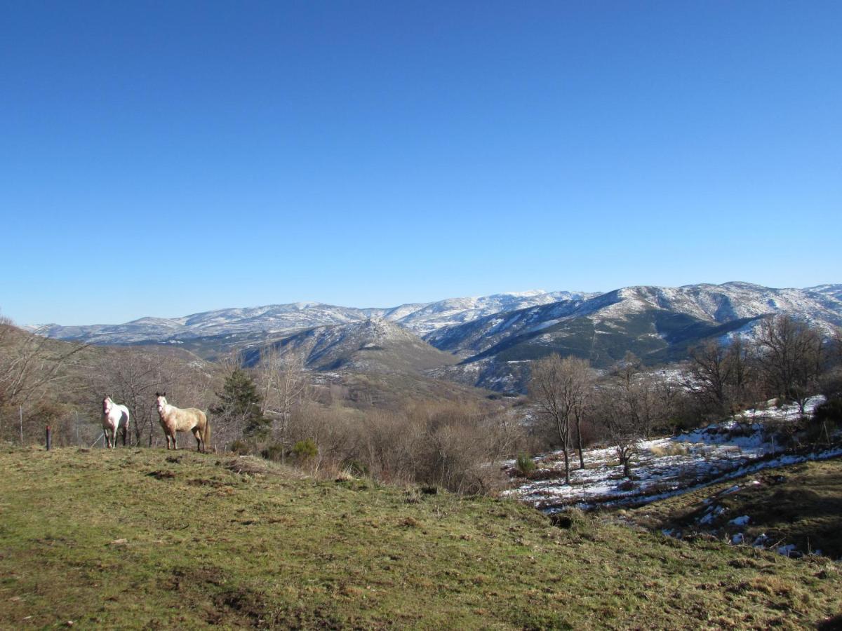 Atardecer En Gredos 1 Villa San Bartolomé de Tormes Buitenkant foto